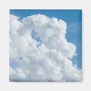 Recherche de dragon blanc magnets Bleu