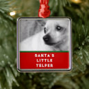 Suche nach lustiger hund ornamente Dogs
