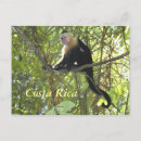 Suche nach manuel poster Costa