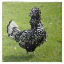 Suche nach huhn fliesen Küche