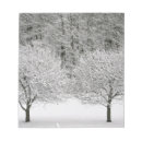 Suche nach schneebedeckte landschaft Wald