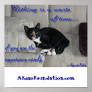 Recherche de petit somme de chat posters Animaux