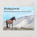 Recherche de mustang cartes postales Cheval sauvage