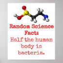 Recherche de bactérien posters Bactéries