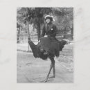 Recherche de équitation cartes postales Victorien