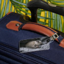 Suche nach schlafen gepäckanhänger Katze