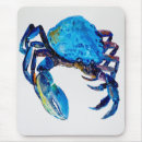Recherche de crabe tapis souris Vie marine