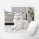 Suche nach sofa elektronik zubehör Katze