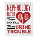 Suche nach nephrologie poster Niere