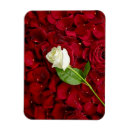 Recherche de fleuriste magnets Feuille