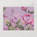 Recherche de lilas cartes postales Belle