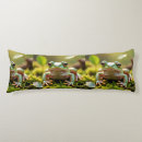 Recherche de petite grenouille coussins Pour tous