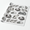 Suche nach vintage katzen geschenkpapier Kätzchen