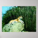 Suche nach zoos poster Erhaltung