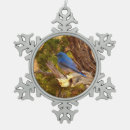 Recherche de merle de ornements Photographie