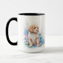 Recherche de caniche abricot tasses Dog