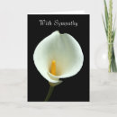 Recherche de calla lilly photographie Noir