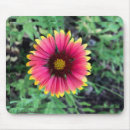 Recherche de gerbera tapis souris Rouge