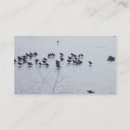 Suche nach wild lebende tiere visitenkarten See