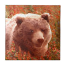 Suche nach grizzly fliesen Tragen
