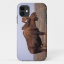 Suche nach buell iphone hüllen Bulle