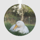 Suche nach ente ornamente Weihnachten