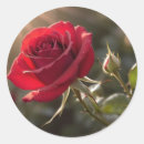 Recherche de soleil rouge autocollants Bride