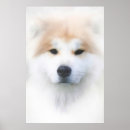 Recherche de visage de chien posters Pour animaux