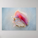 Suche nach bahamas strand poster Sand