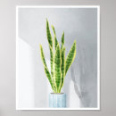 Suche nach schlangen poster Pflanze