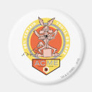 Suche nach kojote Looney tunes kojote