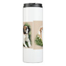 Recherche de chien de bernard tasses Chiens
