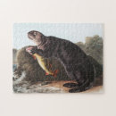Recherche de otter puzzles Faune