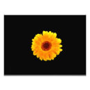 Suche nach calendula poster Blühen