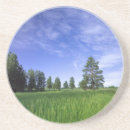 Recherche de de ponderosa Flore
