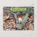 Suche nach niedliches eichhörnchen karten Glücklich