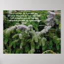 Suche nach fir trees poster Tannenbaum