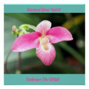 Recherche de orchidée tropicale posters Nature
