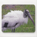 Suche nach störche mousepads Storch