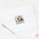 Suche nach golden retriever aufkleber Niedlich