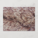 Suche nach tierjagd poster Tierhaut