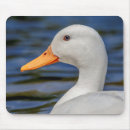 Suche nach weiße enten mousepads Tier