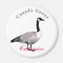 Recherche de gand magnets Canada