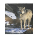 Recherche de loup blocsnotes Gris