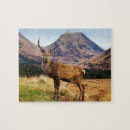 Recherche de mâle puzzles Animal
