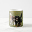 Recherche de chien de st bernard tasses Pour tous