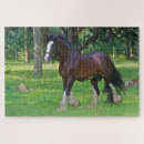 Recherche de horse puzzles Ferme