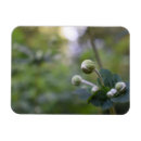 Recherche de jardiniers magnets Nature