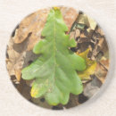 Suche nach eichenblatt untersetzer Natur