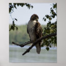 Recherche de supérieur posters Rouge